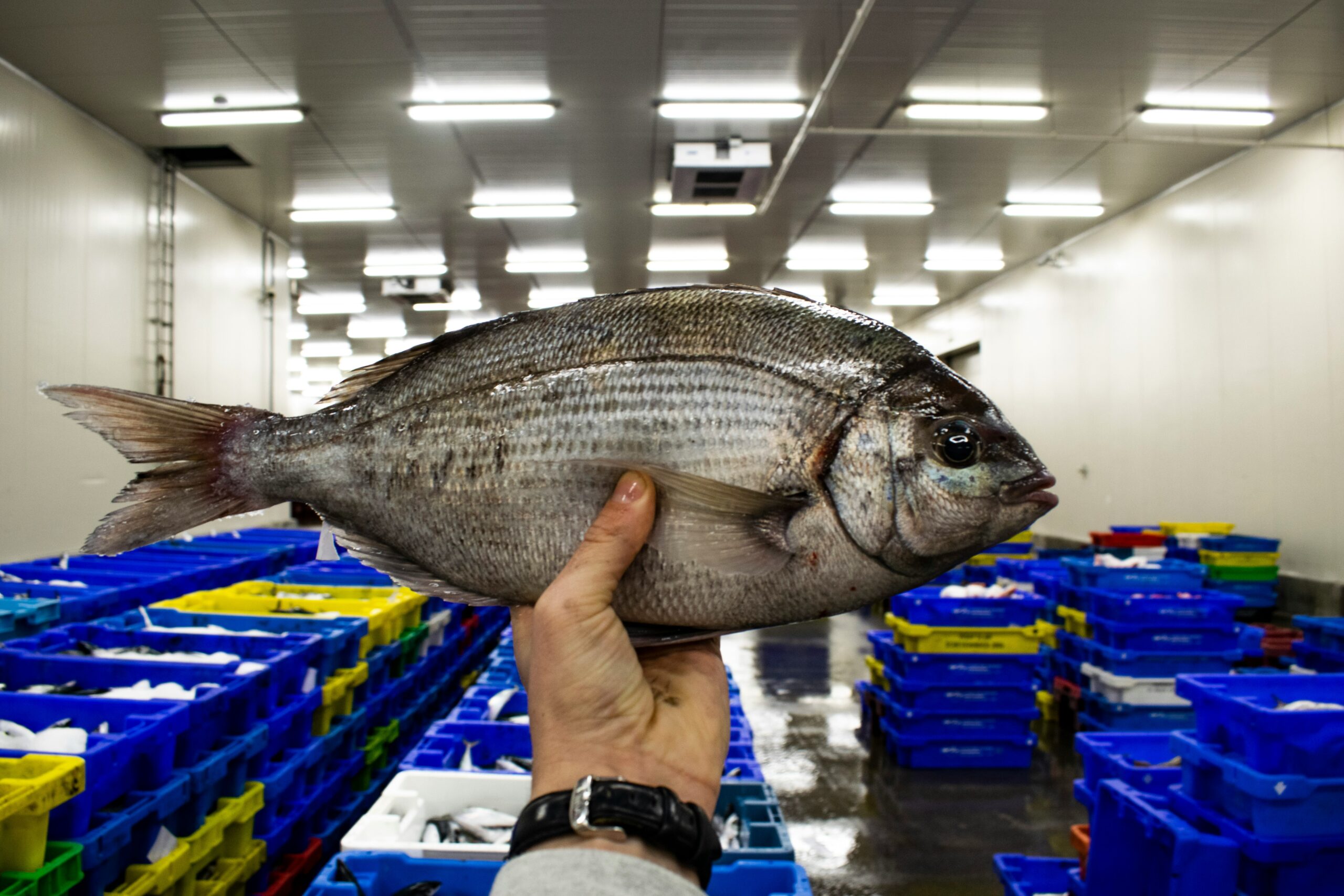 découvrez les dernières enchères et les offres exceptionnelles lors de nos ventes aux enchères en ligne. ne manquez pas cette opportunité de trouver des produits uniques à des prix incroyables.