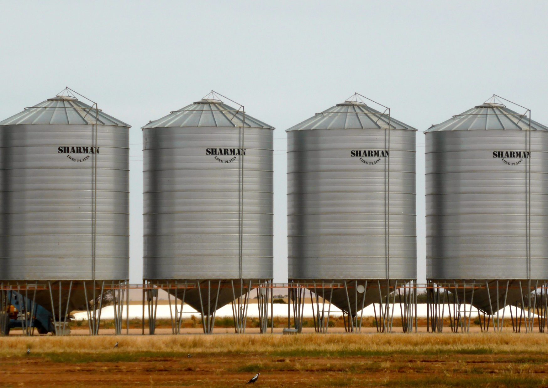 silo grains