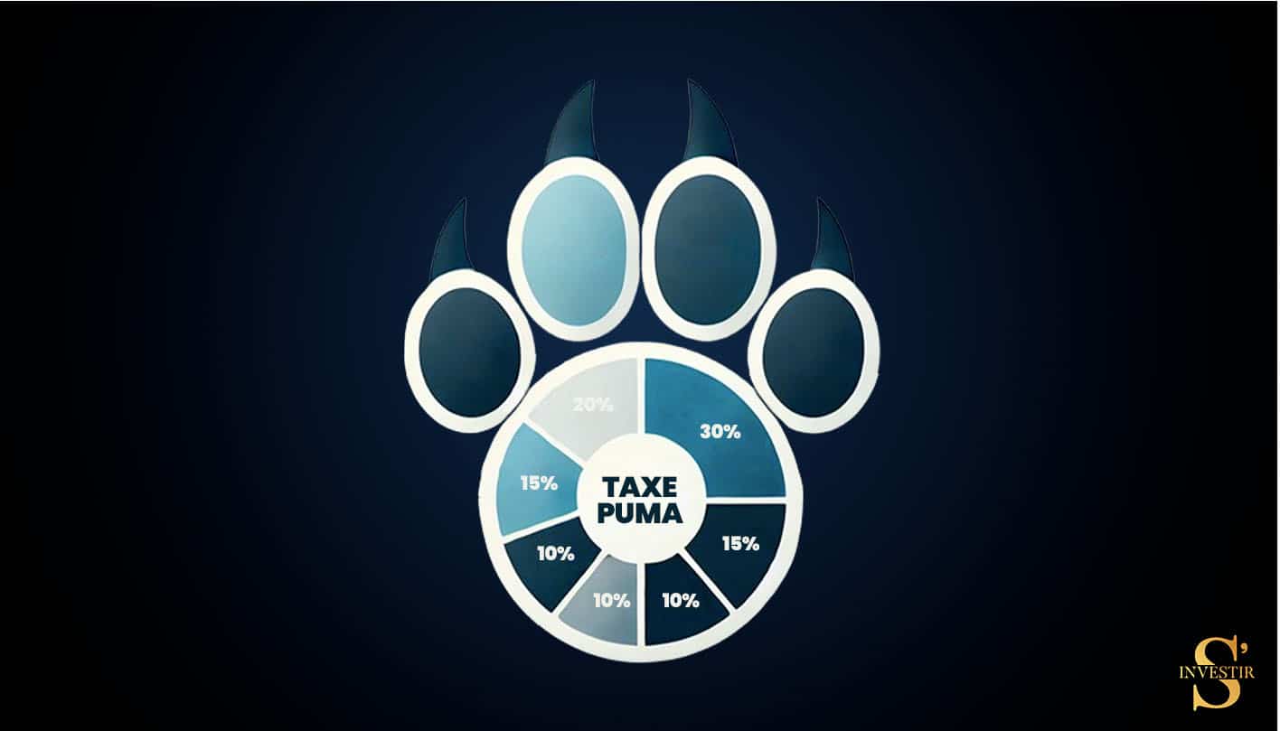 Illustration de la taxe PUMa, concept focalisé sur son fonctionnement et ses implications.