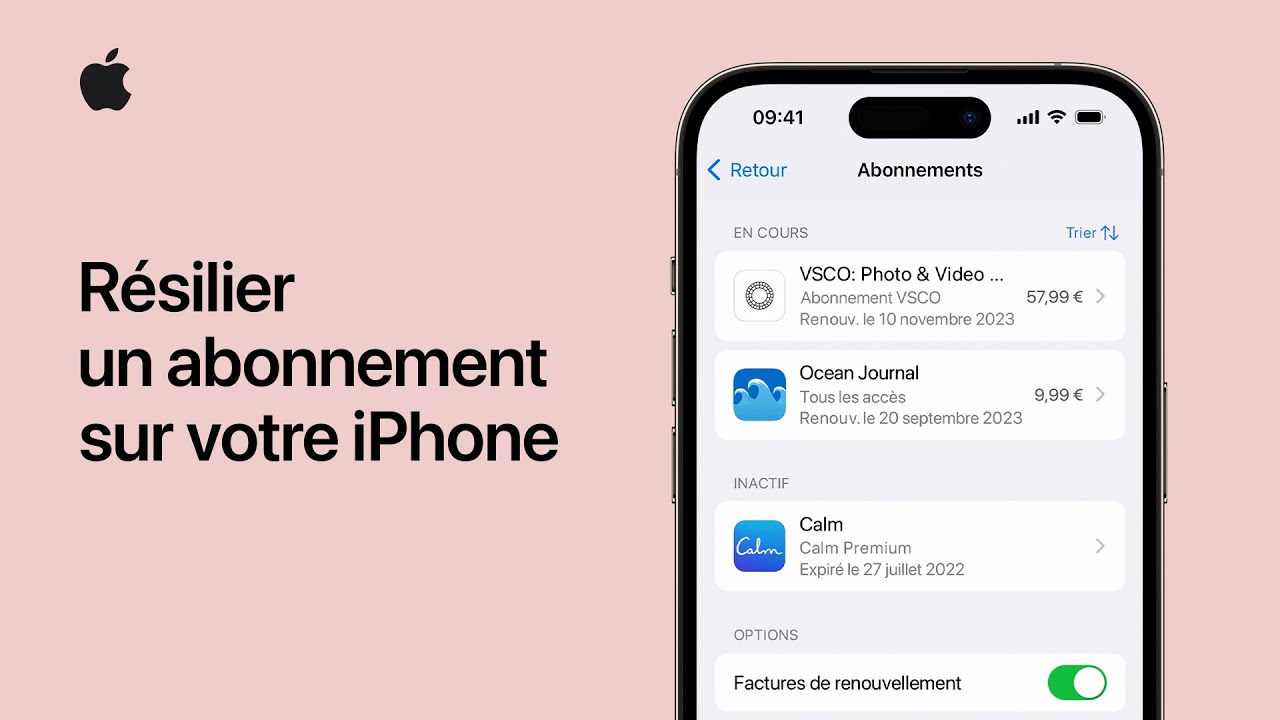 Interface iPhone affichant l'option de résiliation d'un abonnement iCloud dans les réglages Apple